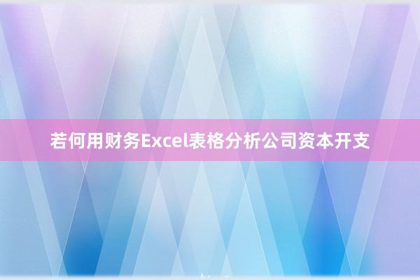若何用财务Excel表格分析公司资本开支