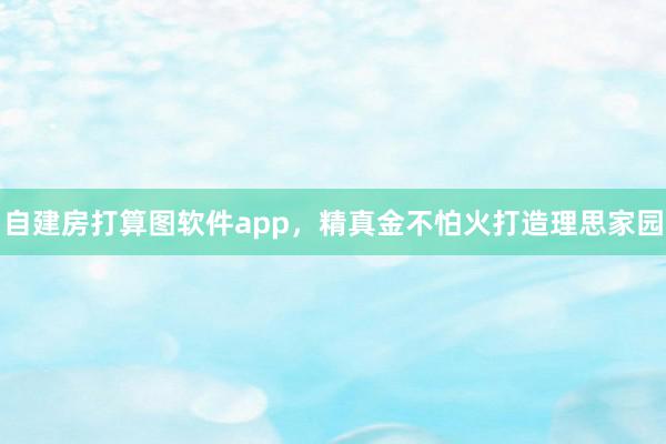 自建房打算图软件app，精真金不怕火打造理思家园